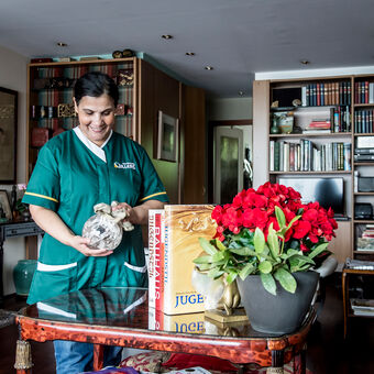 Poetshulp kuist bij rozen